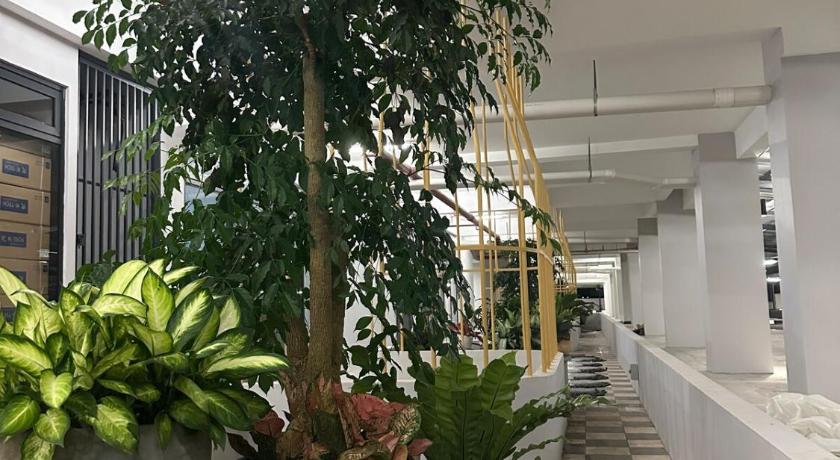 古晋 Gizo 11 SamaJaya TT3 Mountain View 3星级 民宿 景观