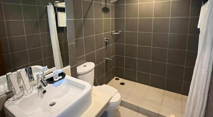 Imagen de Suite con cama grande (Suite with 1 Queen bed) 15