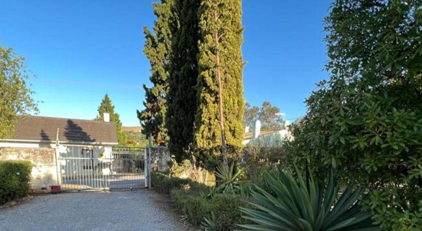 The Cock House