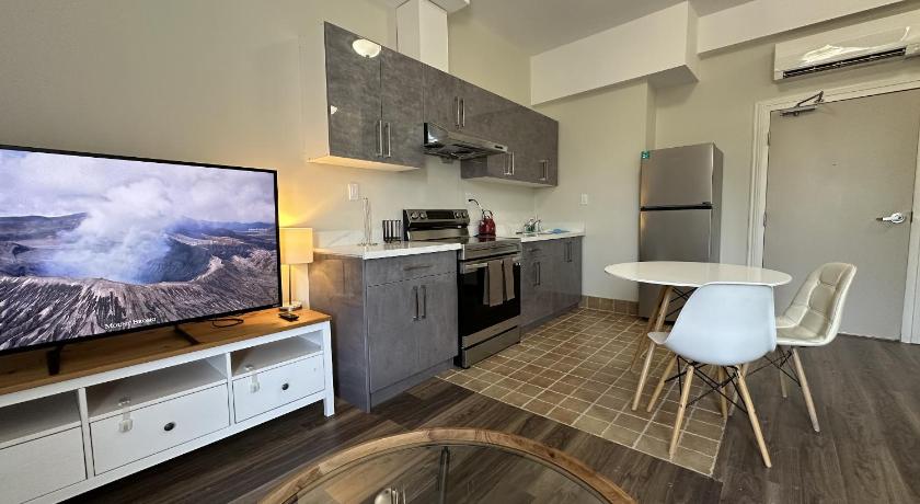 Furnished Simcoe Lofts