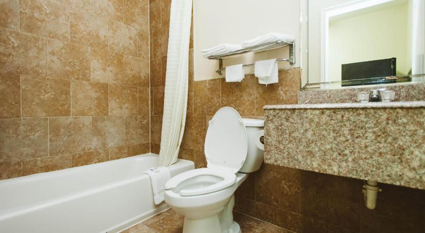 Palace Inn - Baytown I-10 photo
