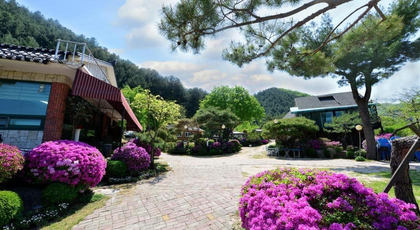 春川 pensyeon hai 2つ星 ゲストハウス 客室