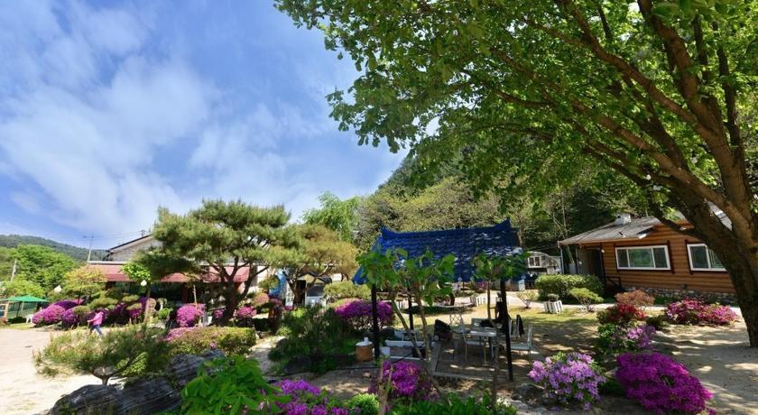 春川 pensyeon hai 2つ星 ゲストハウス プール