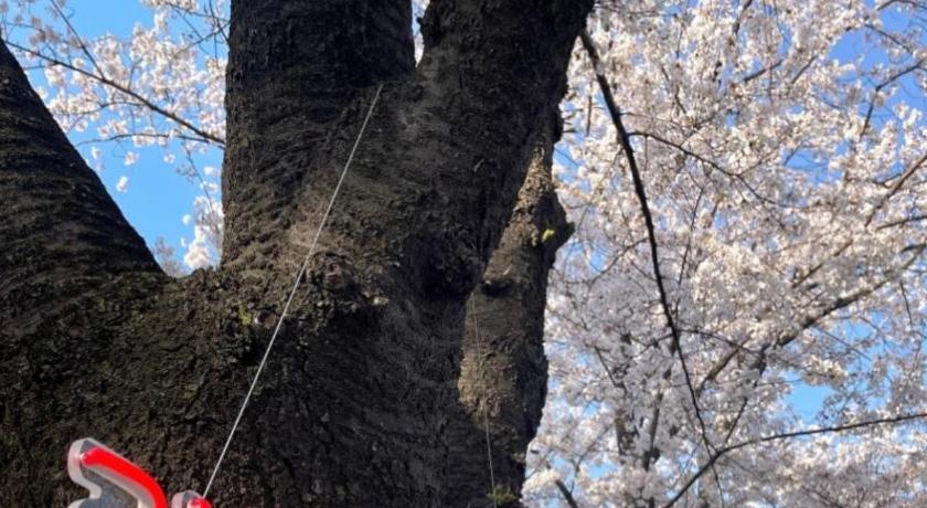 首尔 HAPPY STAY in seoul near kspo dome, #LotteTower #FreeParking #7NightsAirportPickup #GroupStay #DDP # 4星级 单人房 泳池