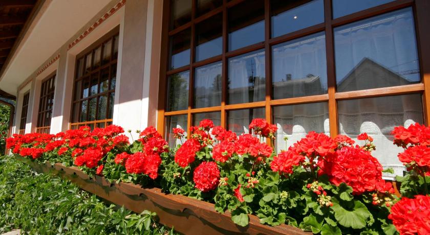 Hotel Villa Monica photo