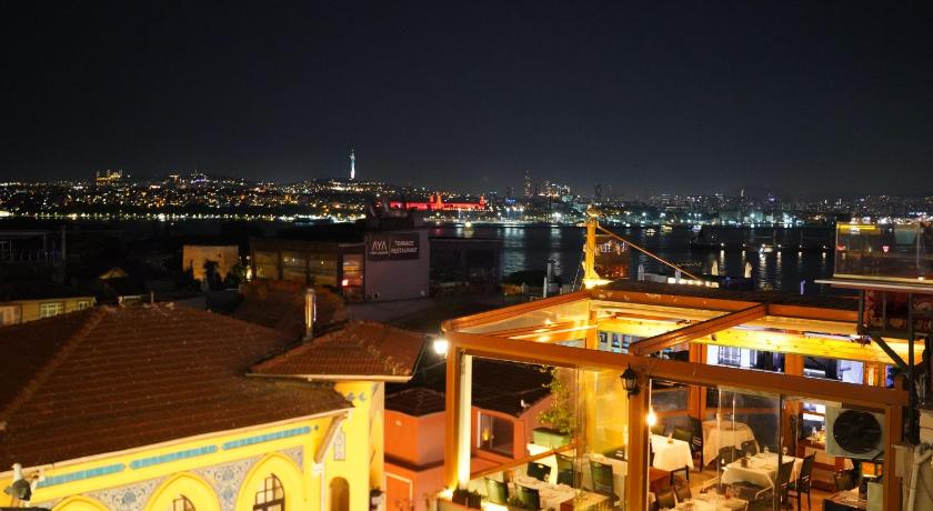 Turk Art Hotel - image 10