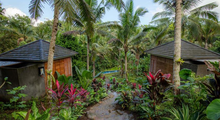 Bali Secret Jungle