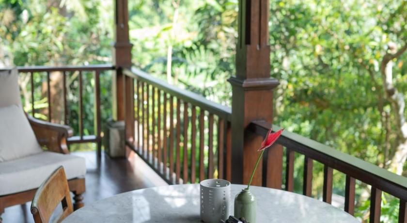 Image of Treetops Lodge with Afternoon Tea 3