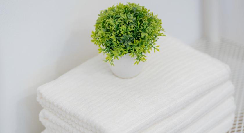 ソウル Seoul Cozy Hostel ホテル スイート