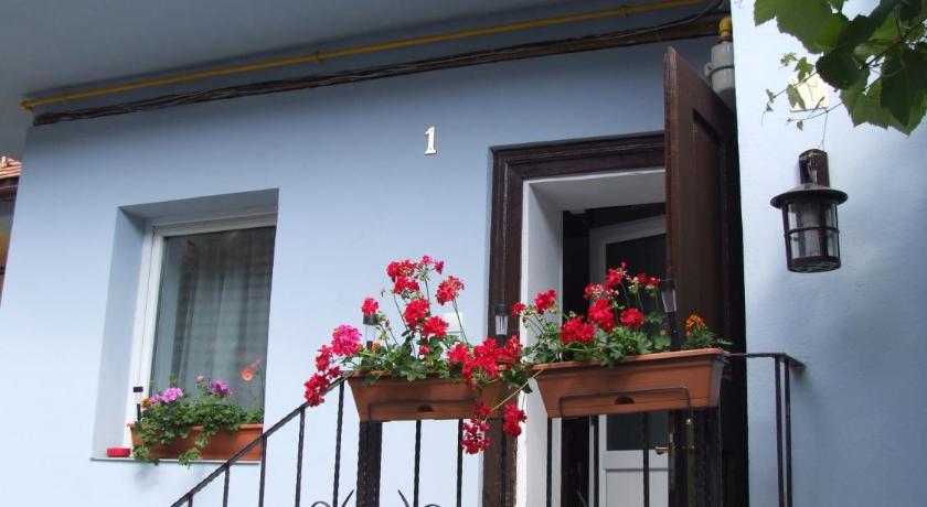 Blue House photo