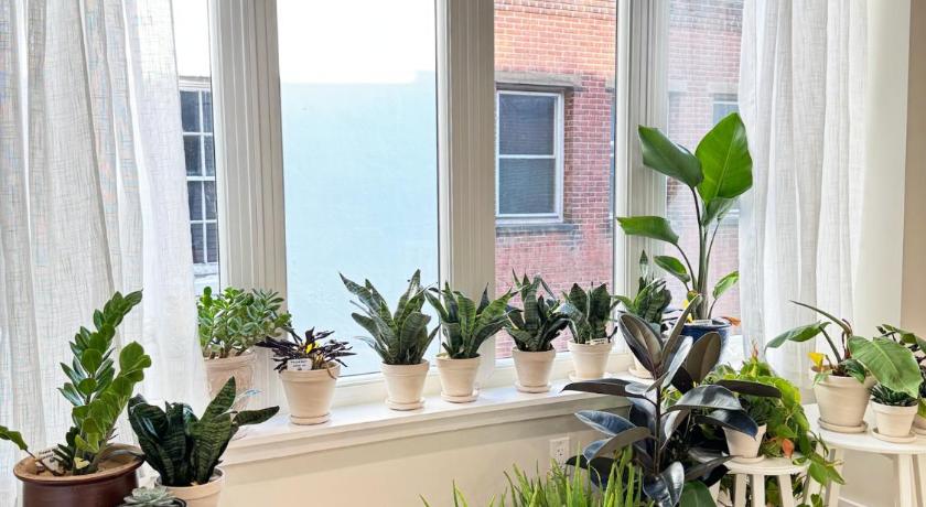 필라델피아 (PA) The Executive - Center-City - 3BR-4Bath-Private-Garage 4성급 숙소 외관