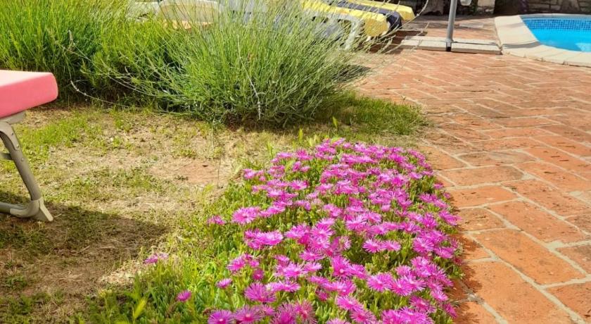 카스텔리르 Villa-Johanna 5성급 싱글룸 수영장