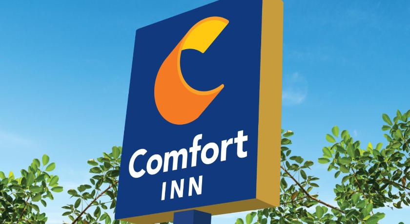 パイクビル (KY) Comfort Inn Pikeville 2つ星 ホテル 客室