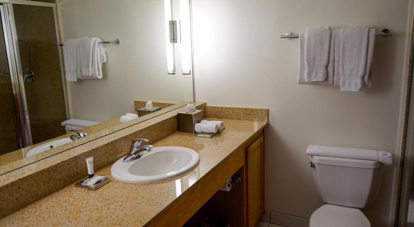 Image of Grand 1 Bedroom Suite King 5