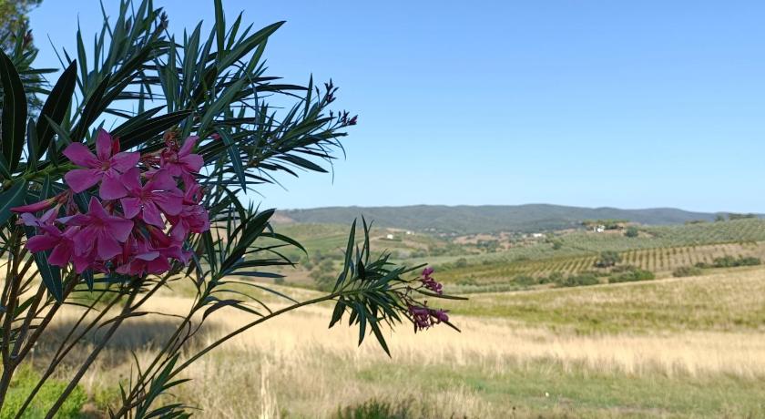 Agriturismo Fosso Torto