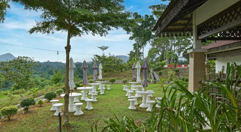 Kuala Tahan Hotel O Asiacamp Resort National Park Kuala Tahan 3-Star Hotel pool