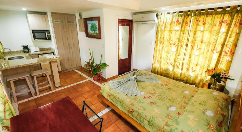 Image of Studio with Pool View 0