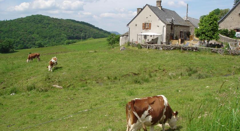 Chez Marraine