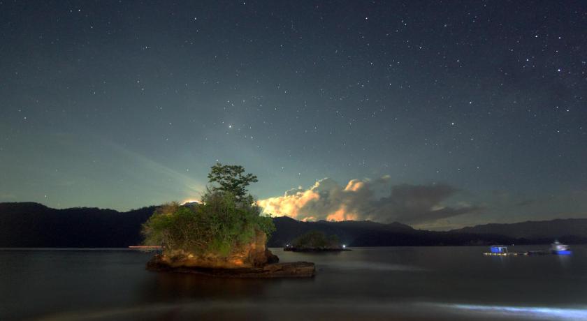 a small tree sitting in the middle of a lake, Cocotinos Lembeh a Boutique Dive Lodge in Bitung