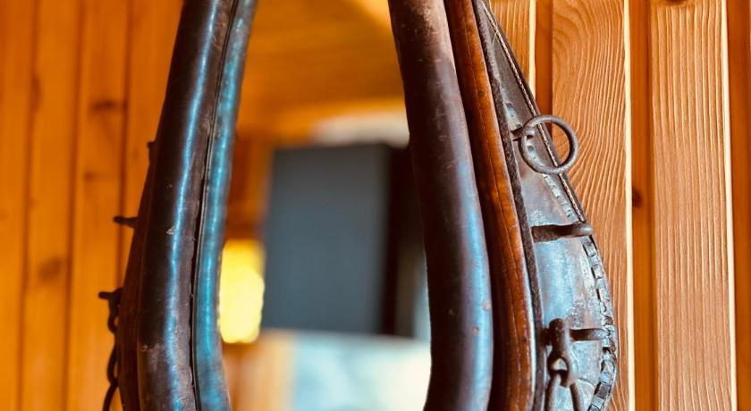 자코파네 Apartamenty 1000m npm Murzasichle 3성급 게스트하우스 수영장