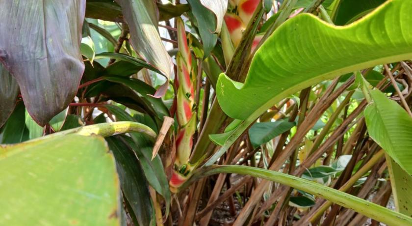 DUMAHOSTEL - image 17