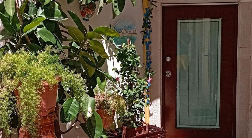 A CASA MIA