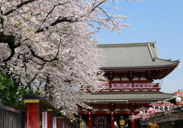 도쿄 / 동경 DJX3F Central Tokyo Stay, Walk to Skytree & Asakusa, 2 minutes to subway, Direct access to Ginza 3성급 숙소 레스토랑