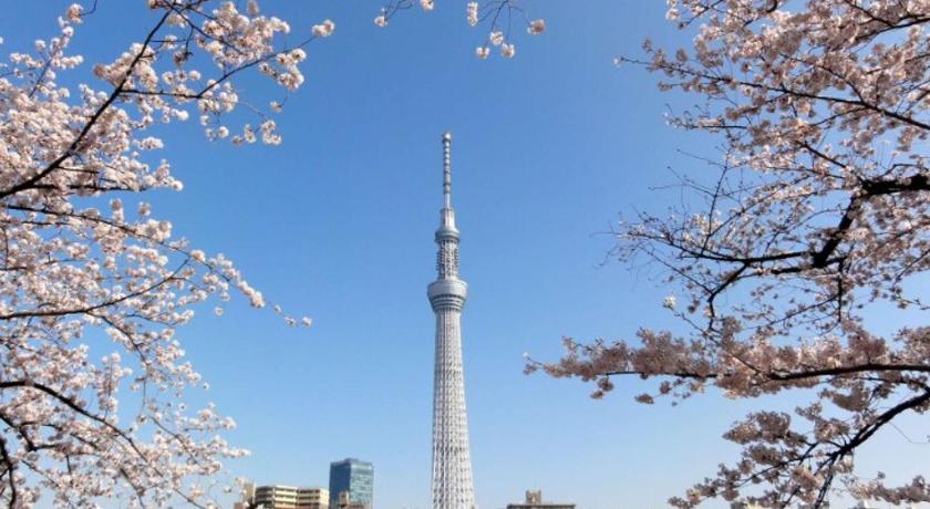 도쿄 / 동경 DJX3F Central Tokyo Stay, Walk to Skytree & Asakusa, 2 minutes to subway, Direct access to Ginza 3성급 숙소 부대시설