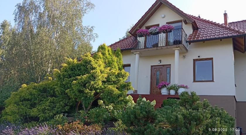Przytulne Studio Borowkowy Zagajnik