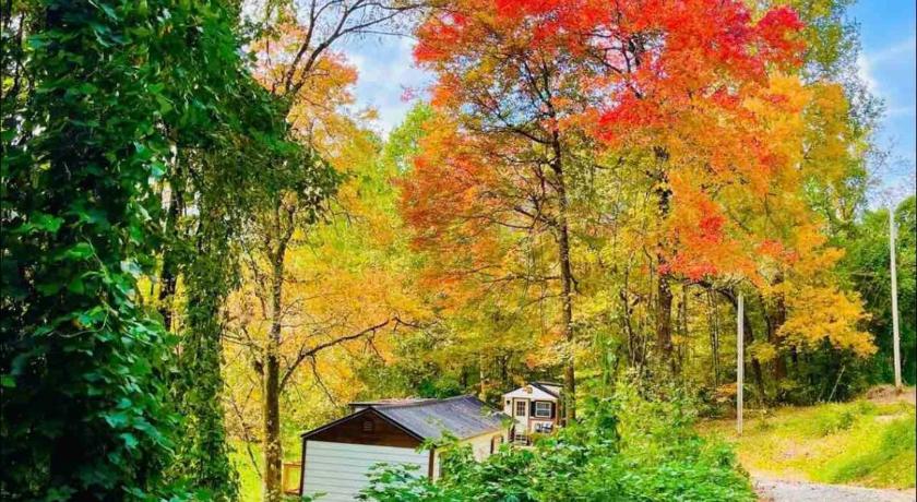 로빈스빌 (NC) Misty Hollow Tiny Home Cottage 2성급 숙소 로비