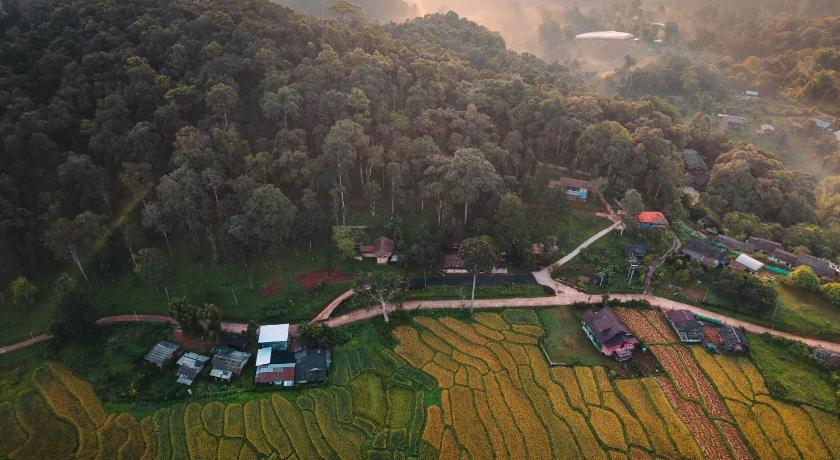 Lochi Chiangmai โลชิ เชียงใหม่