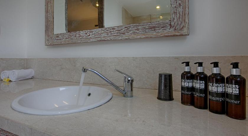 Image of Deluxe Twin Room - Disabled Access 15