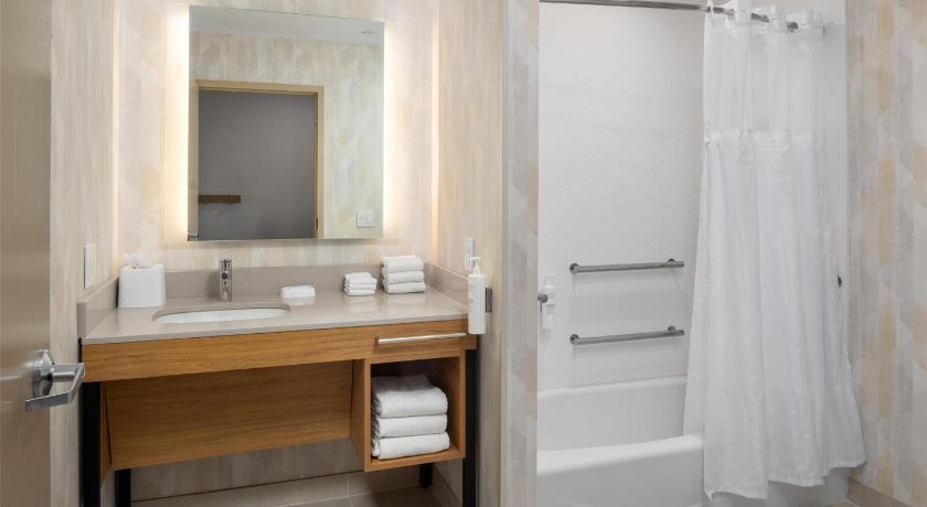 Image of 1 King Mobility Accessible with Bathtub 2