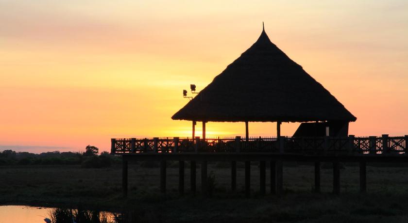 Voi Wildlife Lodge