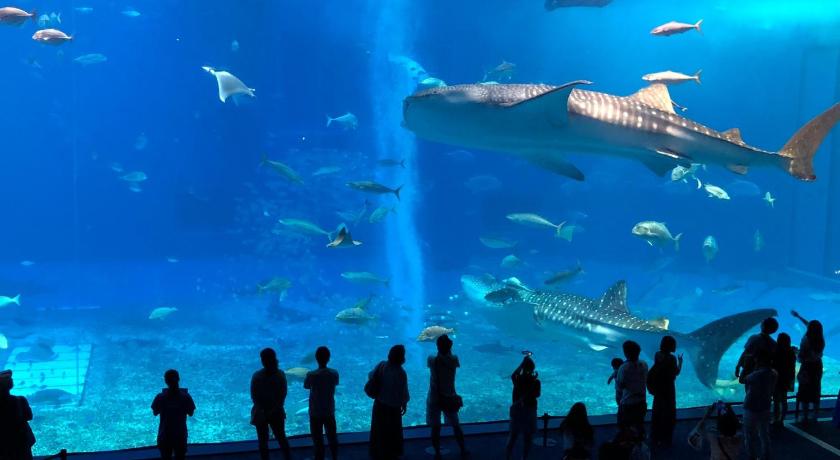 Okinawa Island Kunigami-gun - Cottage / Vacation STAY 22642 3-Star Accommodation view