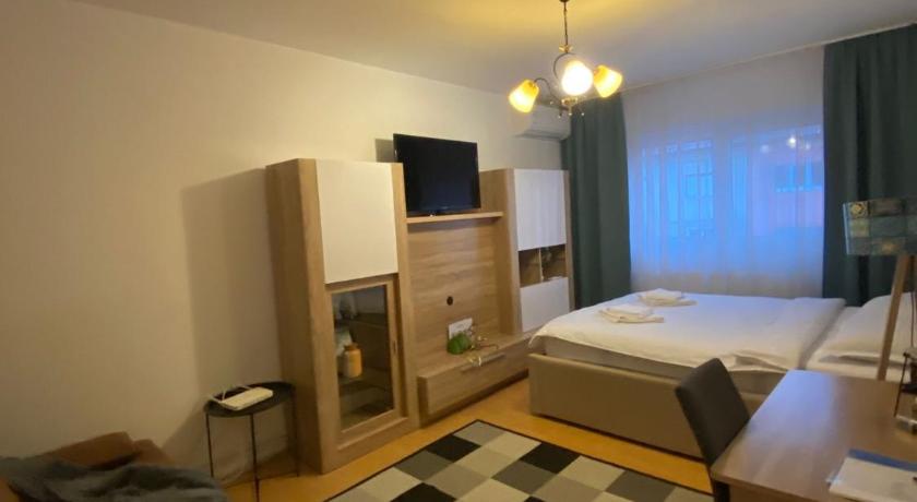 Cazare Medias, apartament modern