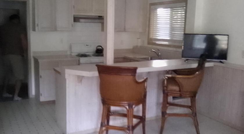 시애틀 (WA) Quiet Back Garden View Apartment 4성급 숙소 객실