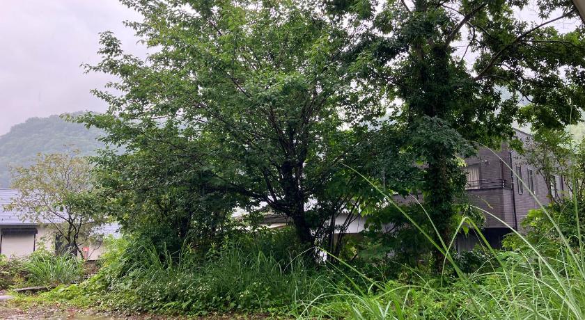 Izu HOTEL DanDan 3-Star Accommodation restaurant