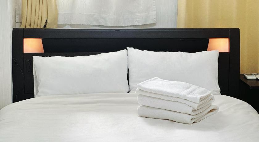 东京 淺夏館Asakakan 3星级 单人房 泳池