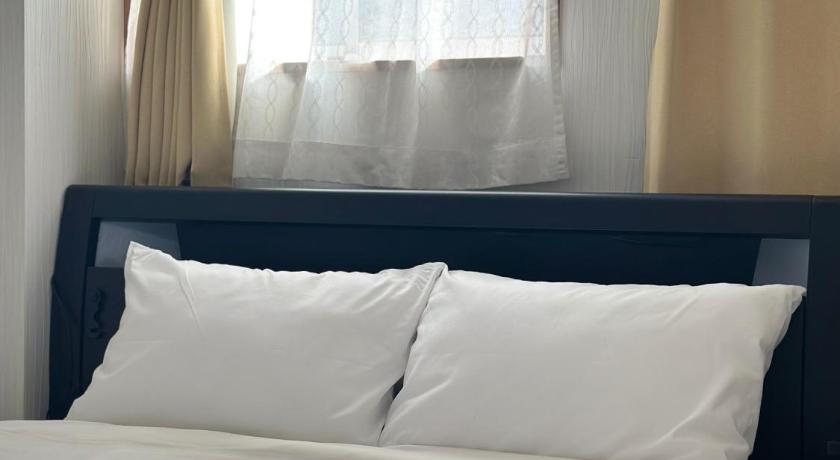 东京 淺夏館Asakakan 3星级 单人房 景观