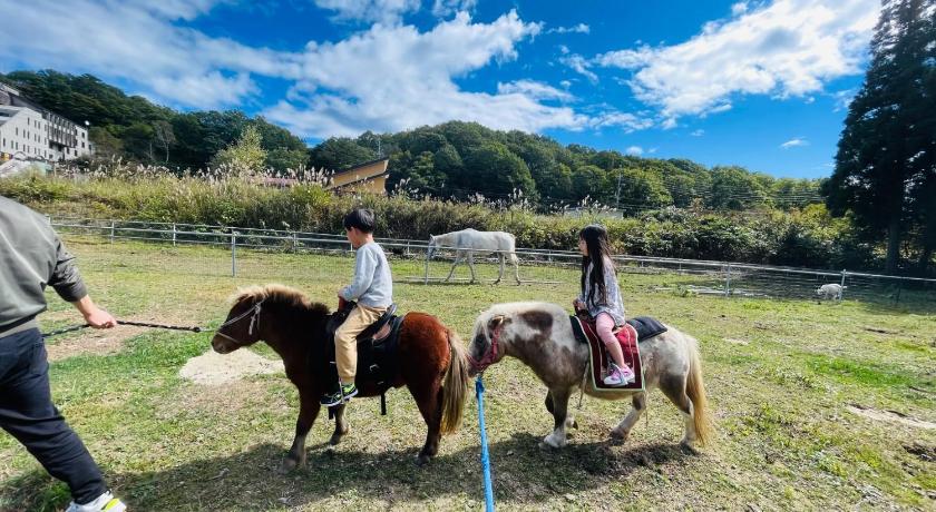 Gujo Mini Mongolian Campsite - Vacation STAY 84050v Accommodation amenity