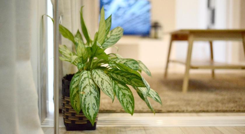 오키나와 본섬 Comfort Stay - Vacation STAY 76524v 4성급 싱글룸 스위트룸