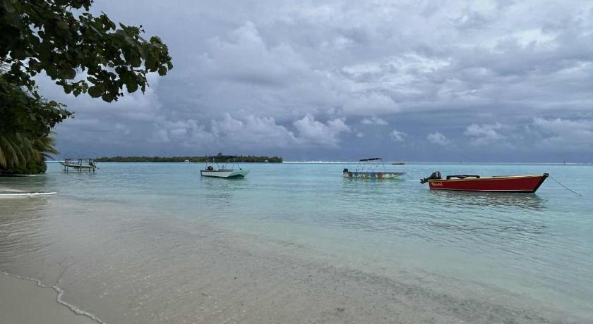 Maupiti Bambou Camping