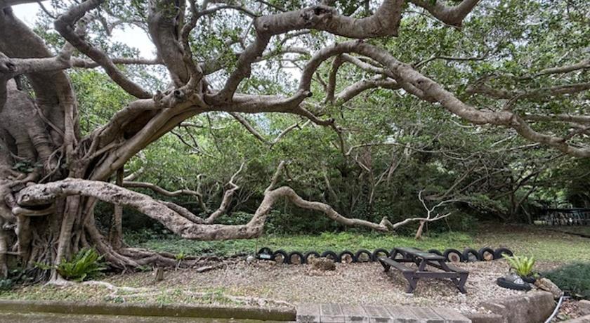 奄美大島 Villaとうとがなし 4つ星 宿泊施設 施設