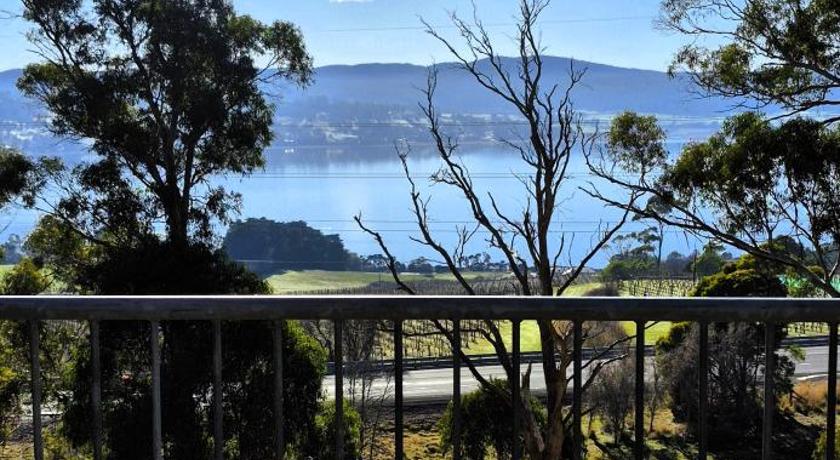 Tamar Tonic - Lush River Views