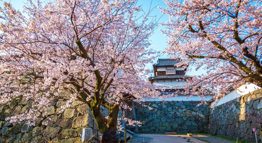 福岡 Mary's in Ohori Pleasing 3つ星 宿泊施設 スイート