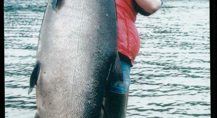 Alaska's Kenai Jim's Lodge & Guide Service photo