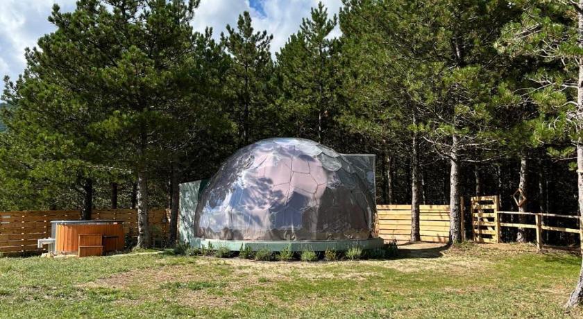 Bubble Room Experience