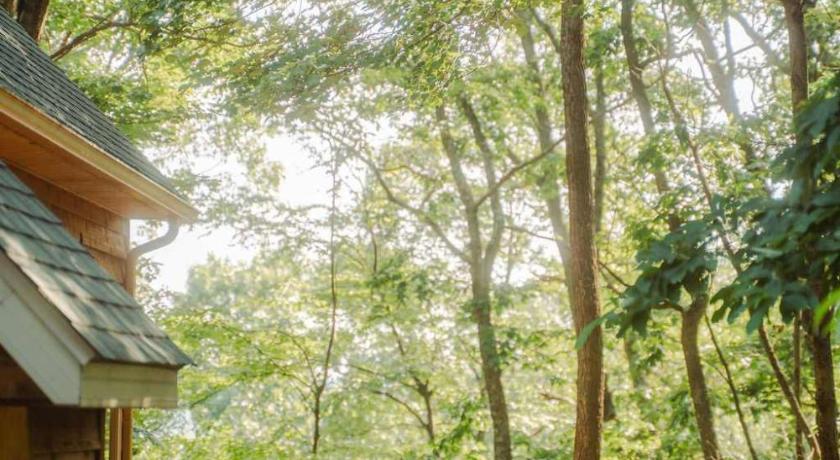 Rockbridge Cheerful Two Bdrm Cabin with Hot Tub & Pet Friendly 4-Star Accommodation exterior
