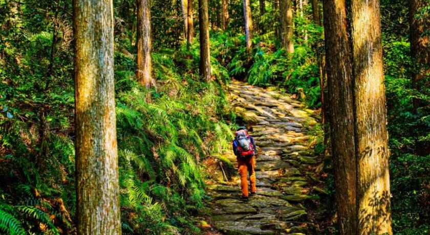 다나베 / 타나베 Cottage Kirihata 3성급 숙소 수영장